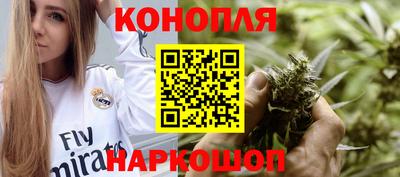 Альфа ПВП Аргун
