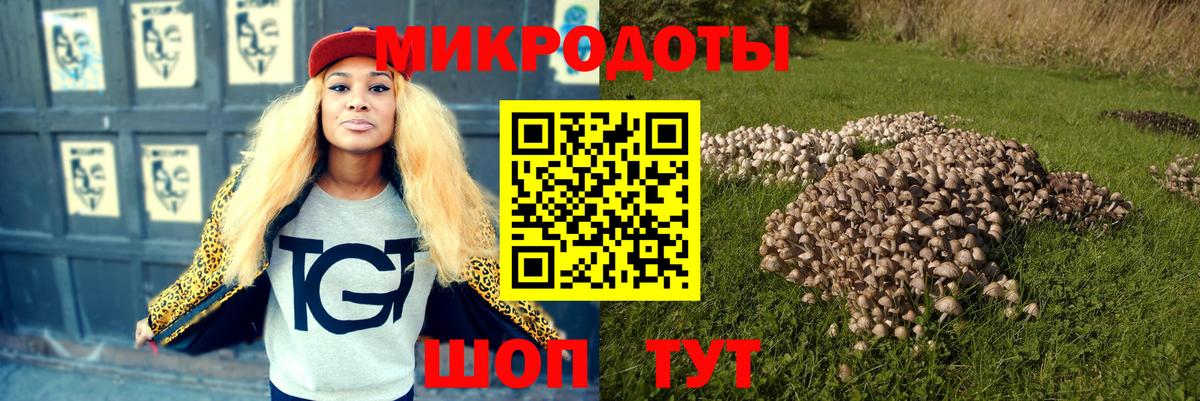 Псилоцибиновые грибы Psilocybe Вятские Поляны